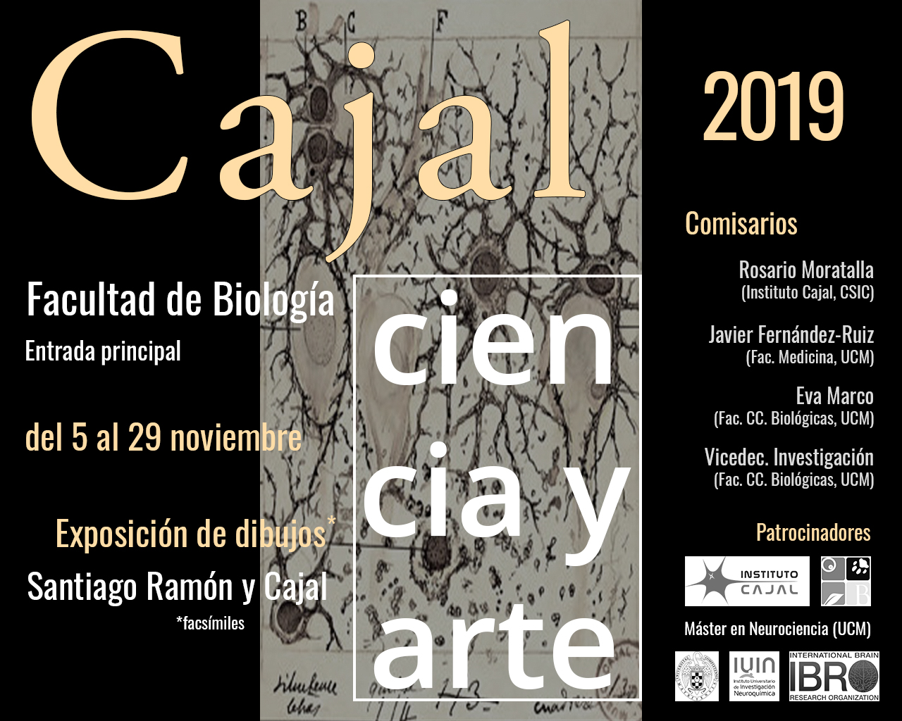 Del 5 al 29 de noviembre - Exposición de dibujos Santiago Ramón y Cajal